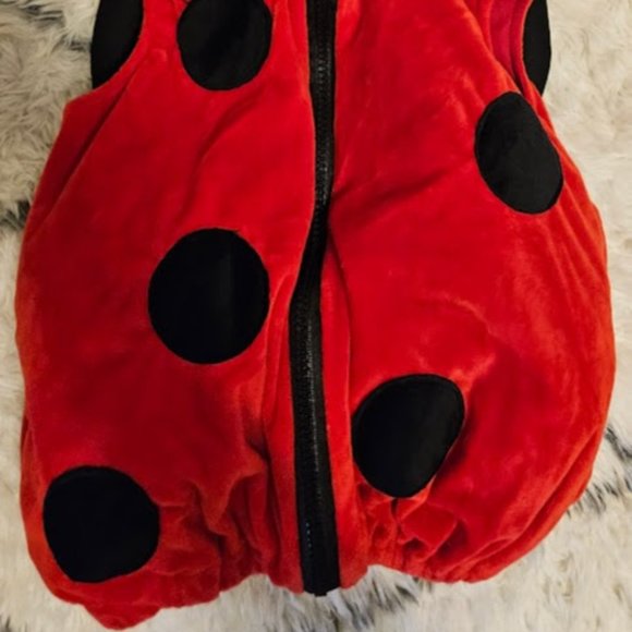 Baby Ladybug Costume with Wings 12m - Picture 3 of 6